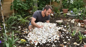 Arrêtez de jeter ces restes d’apéro : ce déchet discret transforme vraiment votre jardin et votre maison