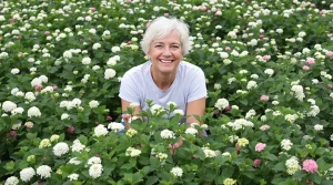 Fini la pelouse traditionnelle : le trèfle nain, le couvre-sol tendance à semer dès le printemps