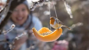 « Je l’ai posée hier, ils sont venus ce matin » : j’ai fait cette mangeoire maison en 5 minutes