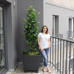 Oubliez le manque de place : cet arbre fruitier au port fascinant, même en pot, offre des récoltes record