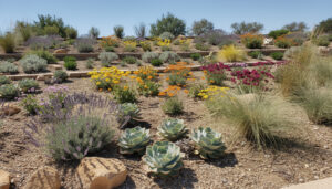 découvrez comment créer un jardin facile à entretenir avec des plantes nécessitant plein soleil et peu d'arrosage. astuces et conseils pour un espace vert durable et sans effort.